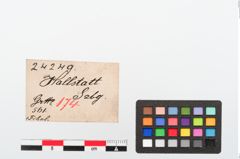 Etiketten zu Bronzeschlangenfibel (NHMW-PRAE-024249)